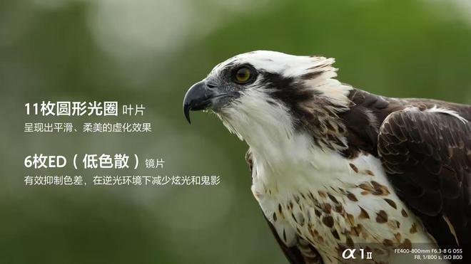 索尼发布首款800mm超远摄变焦G镜头国行18999元(图3)